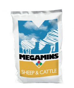 MEGAMINS BIOBIND SAFE
