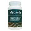 Megasile: Multi-strain forage additive