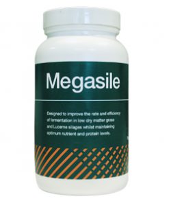 Megasile: Multi-strain forage additive