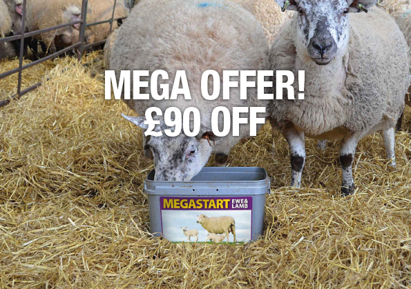 Megastart Ewe & Lamb Special Offer