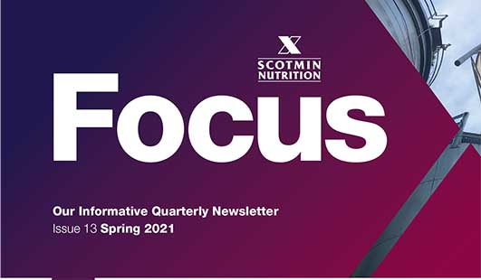 Scotmin Focus Issue 13 Spring 2021