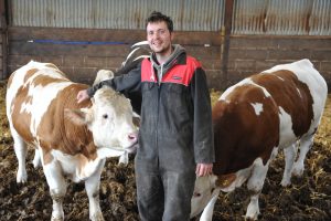 Biosprint Helps Accelerate Bull Beef Finishing by Two Months