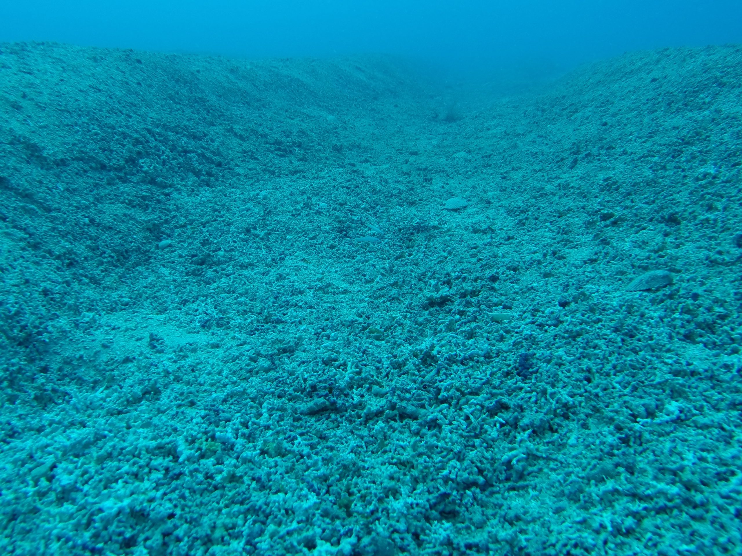 LITHONUTRI - Image 2